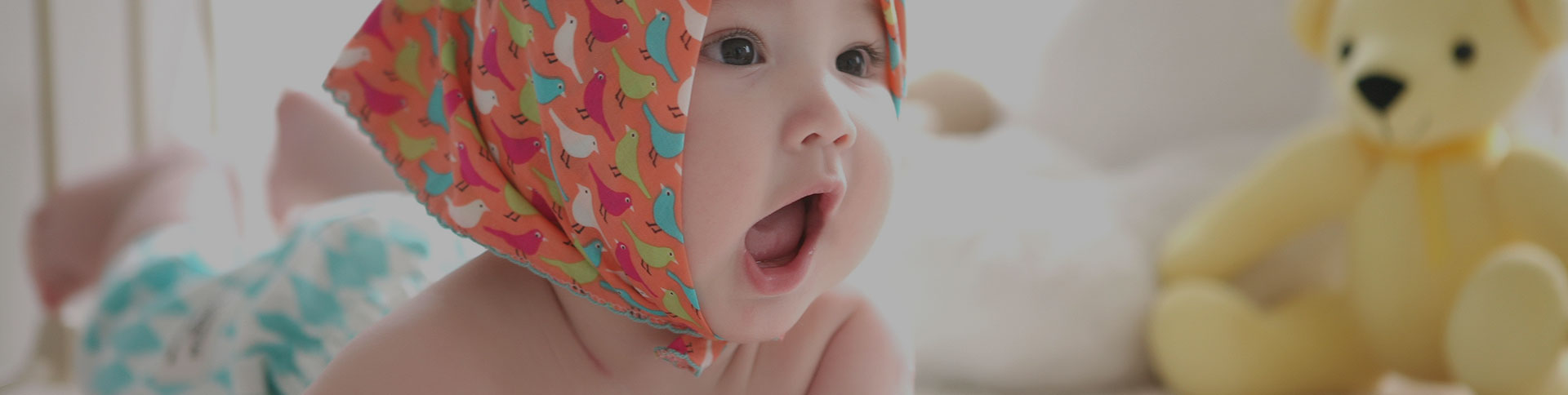 寶拾貳·電子商務(wù)平臺(tái)|一網(wǎng)天行-網(wǎng)站建設(shè)小程序APP系統(tǒng)軟件開發(fā)公司