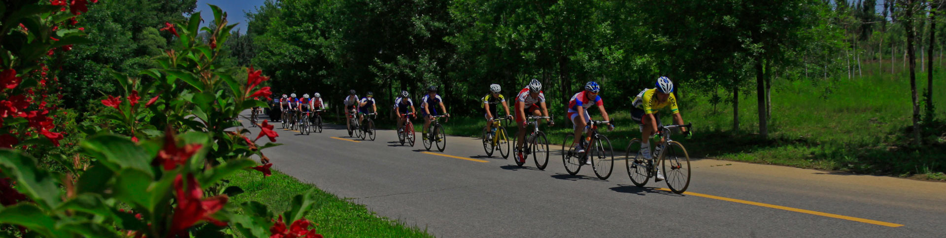 京西北旅游宣傳網(wǎng)站|一網(wǎng)天行-網(wǎng)站建設小程序APP系統(tǒng)軟件開發(fā)公司