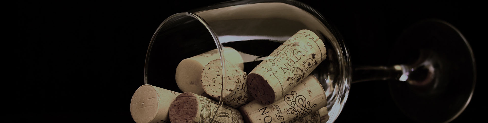 廣博康泰企業(yè)宣傳網(wǎng)站|一網(wǎng)天行-網(wǎng)站建設(shè)小程序APP系統(tǒng)軟件開發(fā)公司