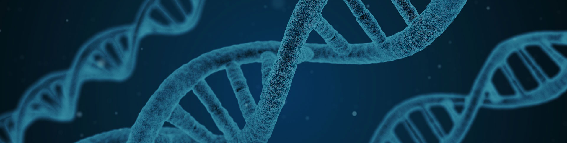 360基因官方網(wǎng)站|一網(wǎng)天行-網(wǎng)站建設(shè)小程序APP系統(tǒng)軟件開發(fā)公司