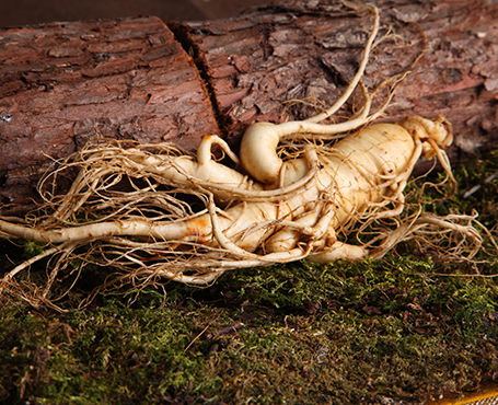 正德藥業(yè)-品牌營(yíng)銷網(wǎng)站|一網(wǎng)天行-網(wǎng)站建設(shè)小程序APP系統(tǒng)軟件開發(fā)公司