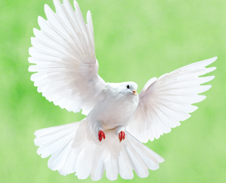 野谷集團(tuán)網(wǎng)站|一網(wǎng)天行-網(wǎng)站建設(shè)小程序APP系統(tǒng)軟件開發(fā)公司