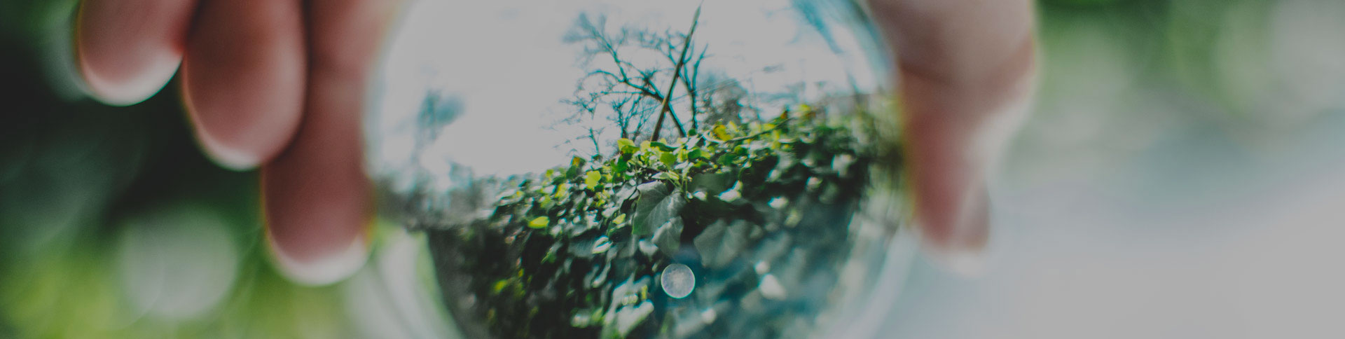 中關(guān)村節(jié)能環(huán)保專委會(huì)網(wǎng)站|一網(wǎng)天行-網(wǎng)站建設(shè)小程序APP系統(tǒng)軟件開發(fā)公司