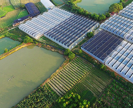 健康產業(yè)集團公司品牌宣傳網站